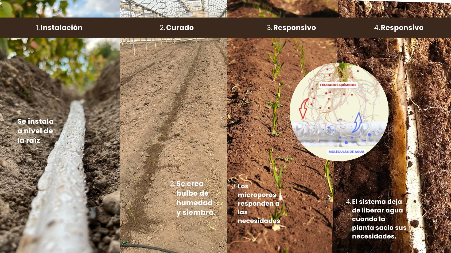 Four-panel diagram showing drip irrigation installation process: tube installation, curing, and two responsive system variations with monitoring device